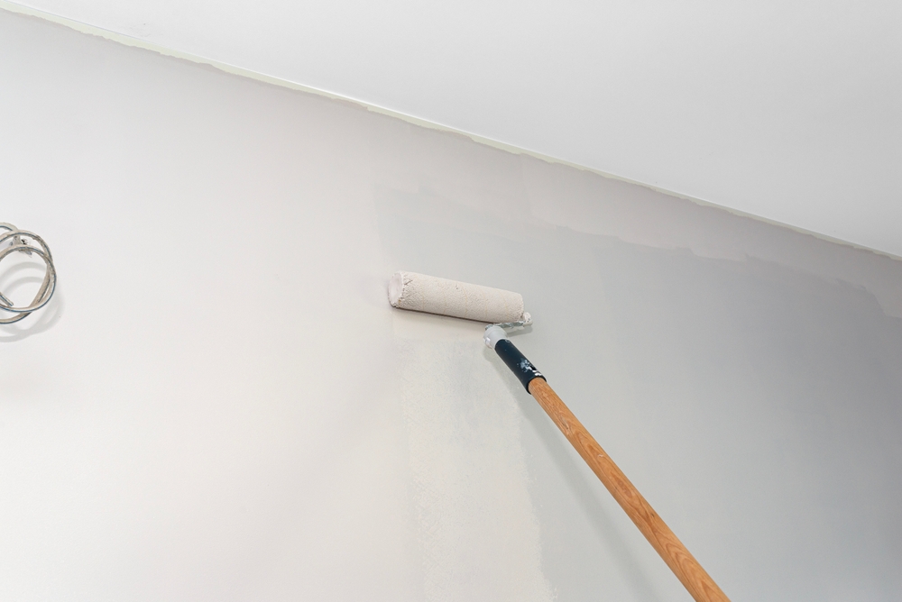 Interior Painting completed by Nephew's Painting